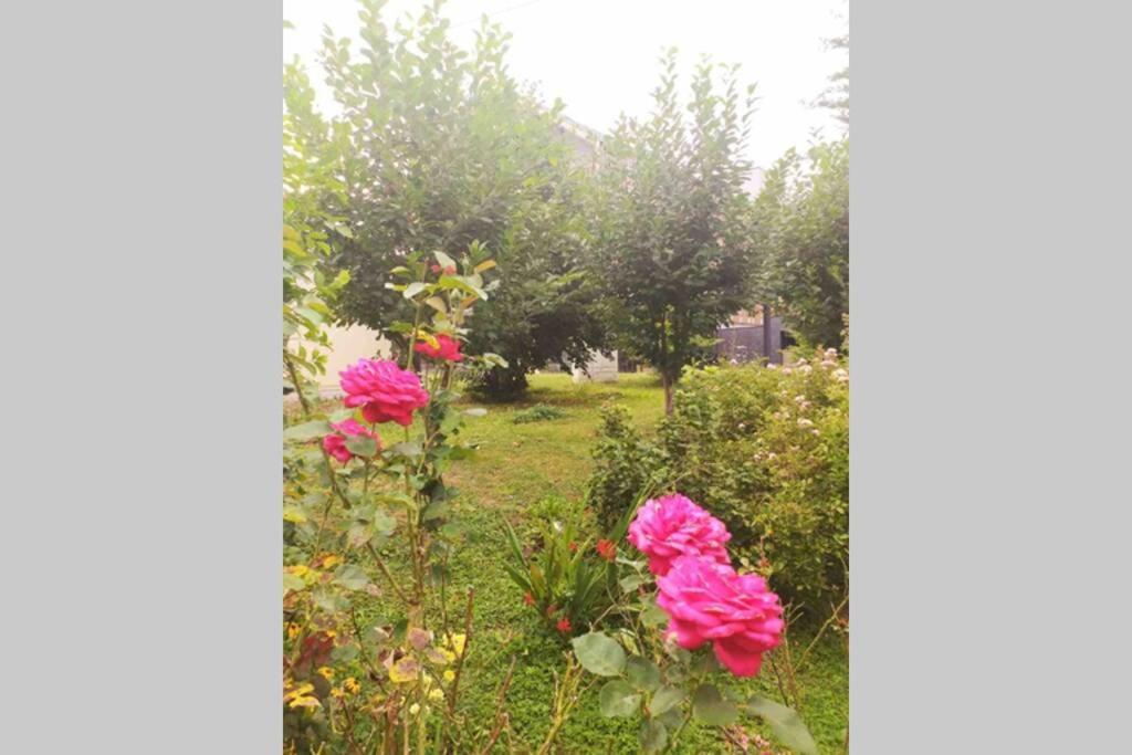Rooms Bobic Licko Petrovo Selo Dış mekan fotoğraf